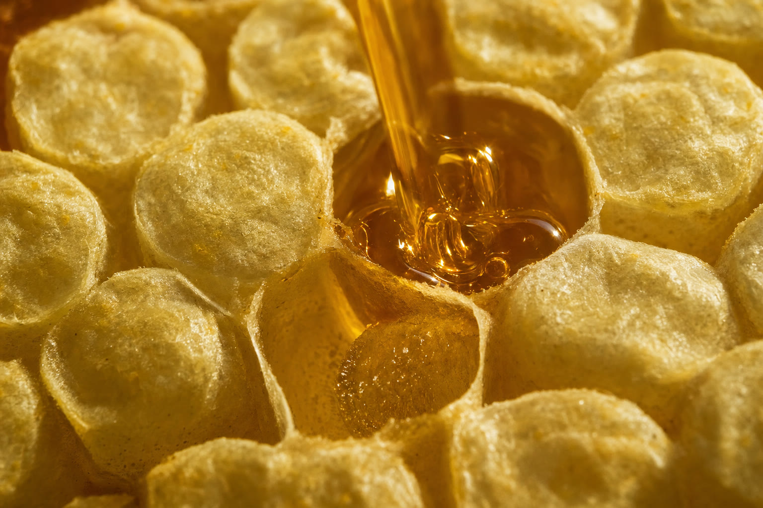 Dense honey settling into an open honeycomb cell beside capped wax cells.